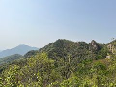 -大岭沟猕猴桃谷风景区