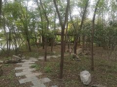 -塘沽森林公园