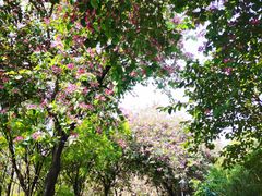 -怡海公园(桂城街道)