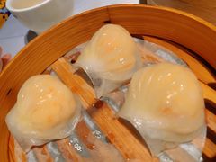 -老伙记海鲜码头(北滘店)