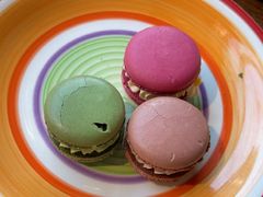 -LYFATTI 莱芙缇(赣水路店)