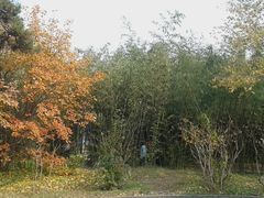 -紫竹院公园冰场