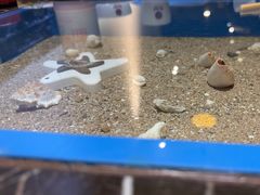 -瓦国小镇·果木烤鸭·融合菜(西口店)