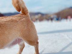 -蓟县盘山滑雪场