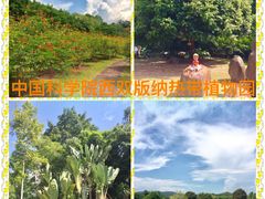 -中国科学院西双版纳热带植物园
