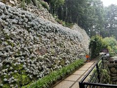 -寂照庵