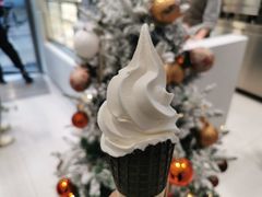 芝芝雪糕-喜茶(广州中山六路店)