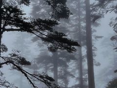 -瓦屋山景区