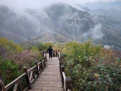 -大岭沟猕猴桃谷风景区