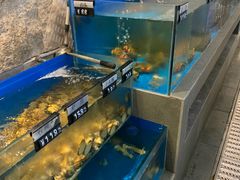 -三千院·东篱(东门店)