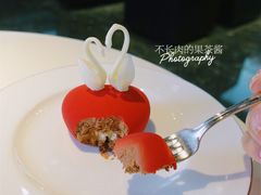 爱心天鹅-BLACKSWAN黑天鹅(环球店)