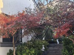 -雅达·阳羡溪山小镇中心