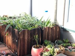 -梵梦影像馆(绿博园店)