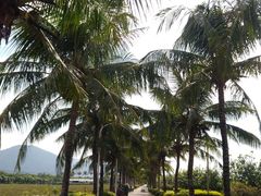 -亚龙湾国际玫瑰谷