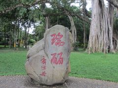 -瑞丽独树成林风景区