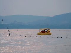 -蠡湖大桥公园