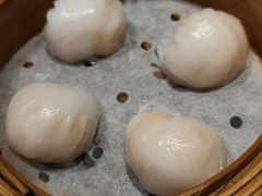 蝦餃-康乐园乡村俱乐部