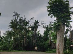 -海南热带野生动植物园