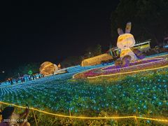 -海上田园