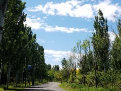 -东郊湿地公园