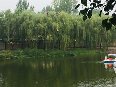 -北戴河集发农业梦想王国