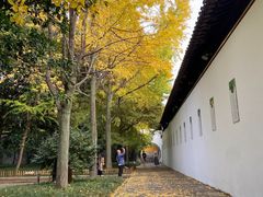 -西园戒幢律寺