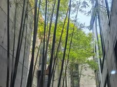 -湖南大学-中国书院博物馆