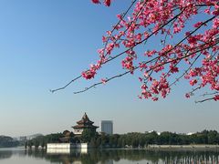 -顺峰山公园
