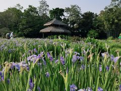 -广西壮族自治区药用植物园