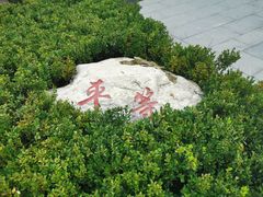 -木塔寺遗址生态公园