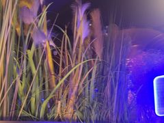 -味界·精致赣菜(招商花园城店)