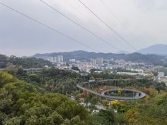 -福道