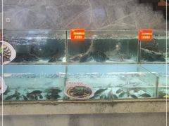 水产区-饭怕鱼(阳光100店)