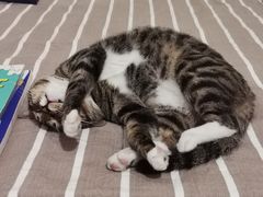 -巴奴毛肚火锅(安阳相州店)