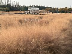 -嘉北郊野公园