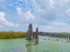 -宁波杭州湾国家湿地公园