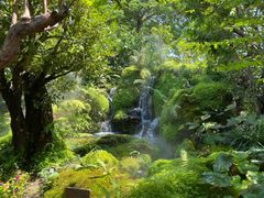 -Chom Cafe and Restaurant