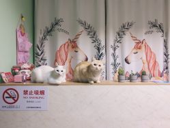 -齐伽生活馆·瑜伽·普拉提·阿育吠陀