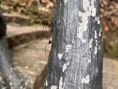 -龙湾潭国家森林公园