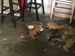 -时光转角咖啡馆(西康路店)