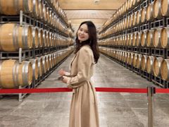 -王朝御苑酒堡