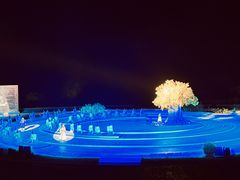 -鼎盛王朝康熙大典实景演出