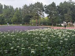 -阿尔丁植物园