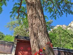-北京凤凰岭