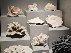 -天津自然博物馆