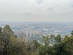 -杭州半山国家森林公园