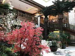 -太湖饭店玉兰厅(自助餐厅)