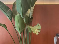-LOOOAD COFFEE进度条(D9街区店)