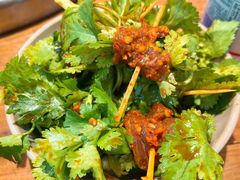 香菜牛肉-四小区火锅·巷子里的重庆火锅(花照壁店)