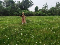 -白鹭湾湿地公园